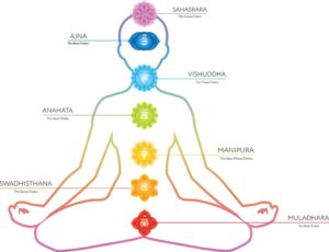 Meditator outline drawing showing the location of the different Chakras